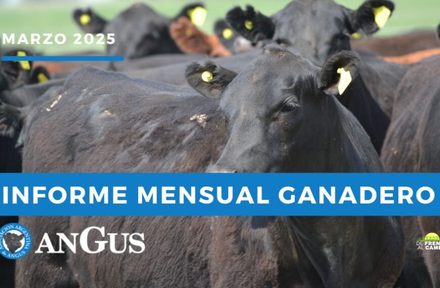 Mercado Ganadero – Marzo 2025: firmeza en la invernada y subas en los livianos