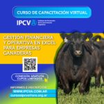 Gestión Financiera y Operativa en Excel para Empresas Ganaderas