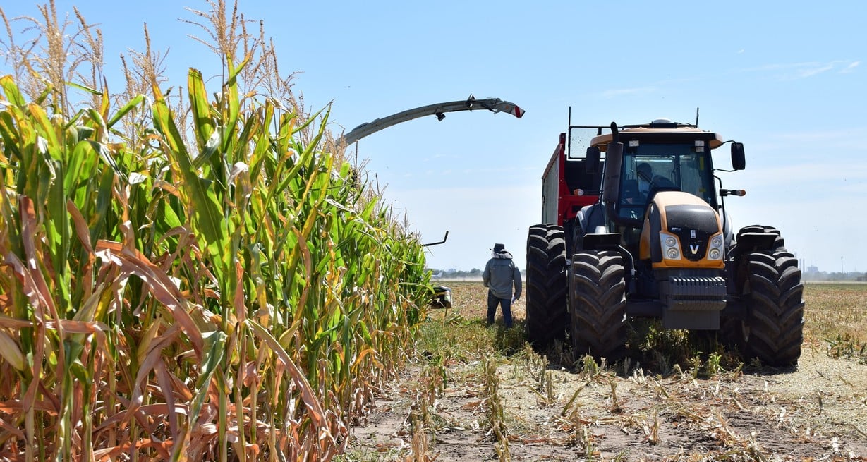 Será más fácil importar maquinaria agrícola usada a la Argentina: incluye cosechadoras, tractores y equipos clave para el agro