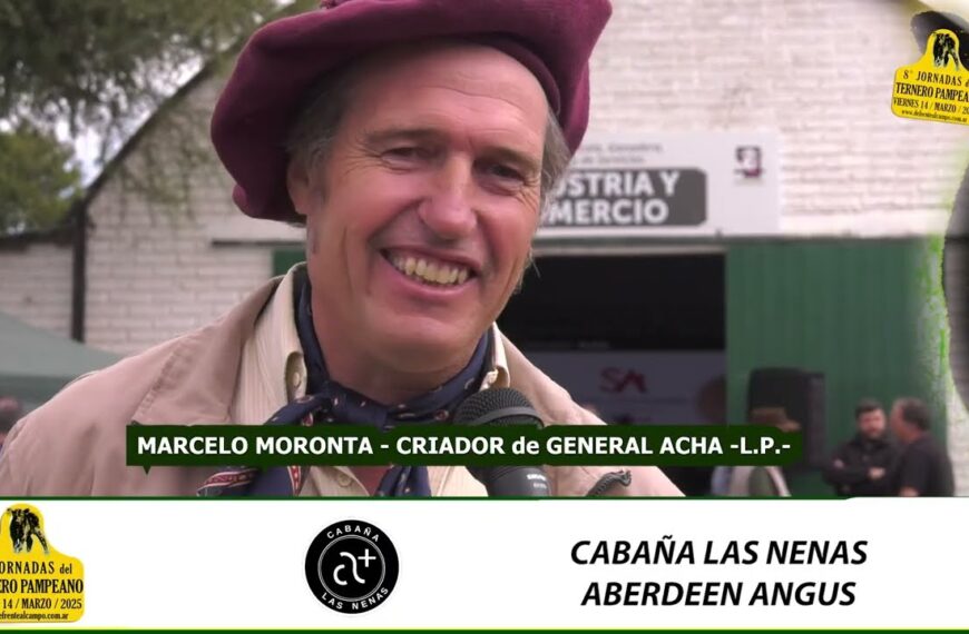 Marcelo Moronta y su sistema ganadero en general acha