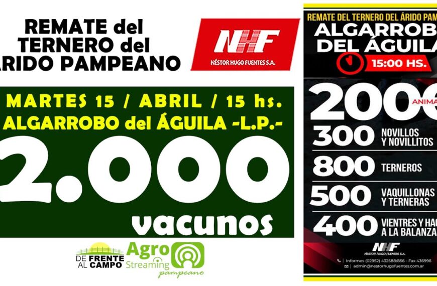 Remate Feria de Néstor Hugo Fuentes S.A. | Algarrobo del Águila | Martes 15/04/2025