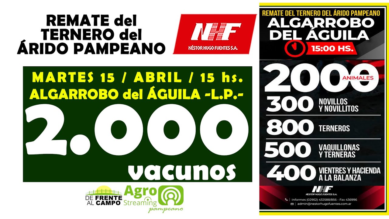 Remate Feria de Néstor Hugo Fuentes S.A. | Algarrobo del Águila | Martes 15/04/2025