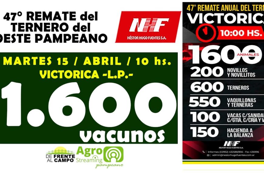 Remate Feria de Néstor Hugo Fuentes S.A. | Victorica | Martes 15/04/2025