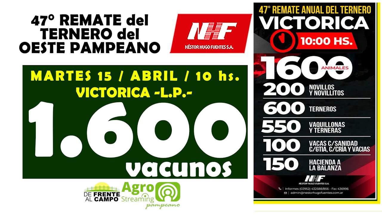 Remate Feria de Néstor Hugo Fuentes S.A. | Victorica | Martes 15/04/2025