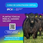 Plantas Tóxicas para el Ganado Vacuno