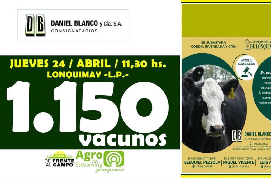 Remate Feria de Daniel Blanco y Cía S.A. | Lonquimay | Jueves 24/abril/2025