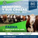Saenz Valiente, Bullrich y Cia. S.A. | Buenos Aires | Próximo Remate Feria el miércoles 23 de abril de 2025