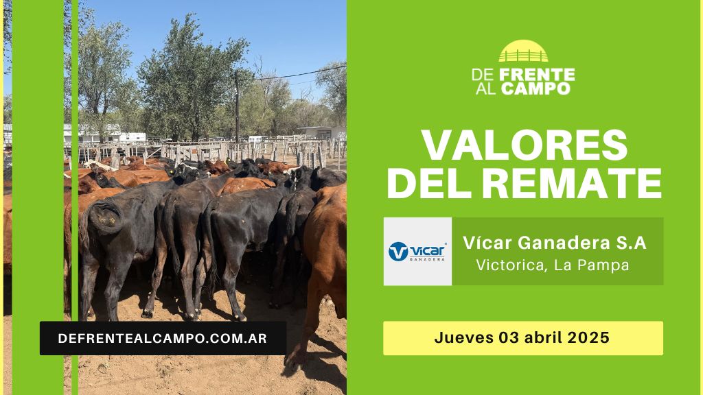 Valores del remate de Vicar Ganadera | Victorica | Jueves 03/04/2025