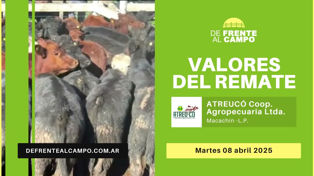 Valores del remate de Cooperativa Agropecuaria ATREU-CO | Macachín | Martes 08/04/2025