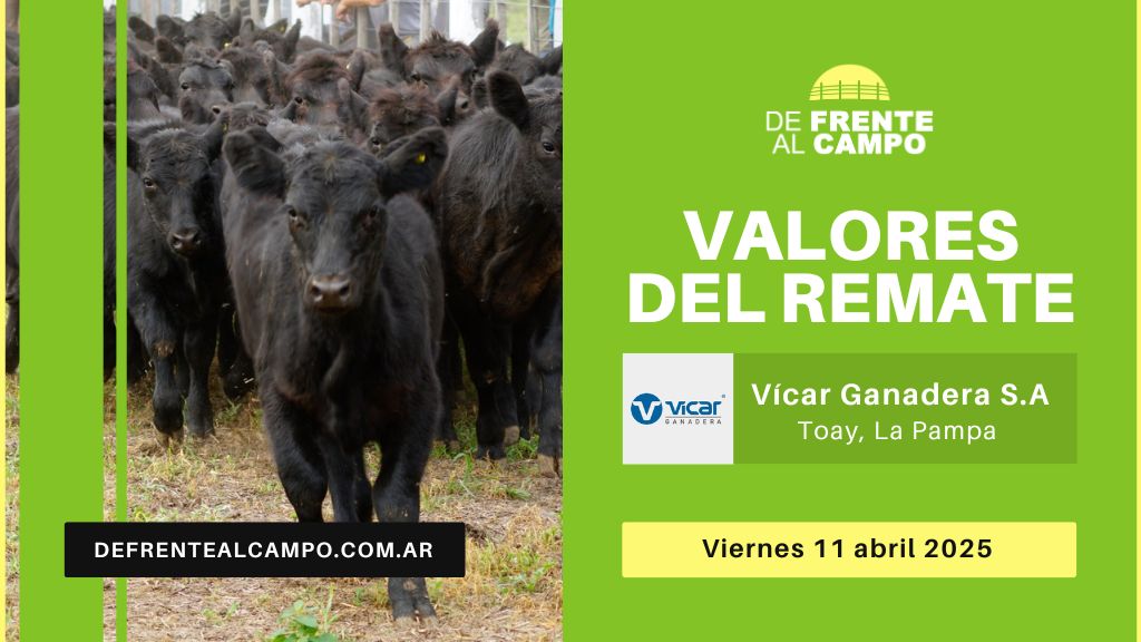 Valores del remate de Vicar Ganadera | Toay | Viernes 11/04/2025