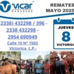 Vicar Ganadera S.A. | Victorica | Próximo Remate Feria el jueves 08 de mayo del 2025