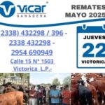 Vicar Ganadera S.A. | Victorica | Próximo Remate Feria el jueves 22 de mayo del 2025