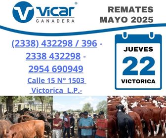 Vicar Ganadera S.A. | Victorica | Próximo Remate Feria el jueves 22 de mayo del 2025