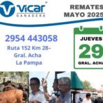 Vicar Ganadera S.A. | General Acha | Próximo Remate Feria el jueves 29 de mayo del 2025
