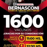 Néstor Hugo Fuentes S.A. | Bernasconi | Próximo Remate Feria el miércoles 7 de mayo de 2025