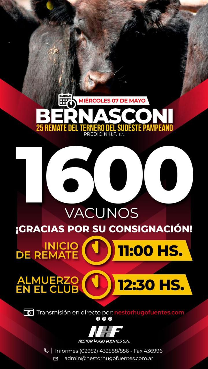 Néstor Hugo Fuentes S.A. | Bernasconi | Próximo Remate Feria el miércoles 7 de mayo de 2025