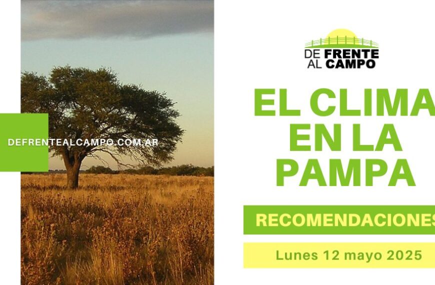 Pronóstico en La Pampa: Jornada templada, cielo despejado y viento sostenido del noreste, máxima de 24 °C (Lunes 12 de mayo 2025)