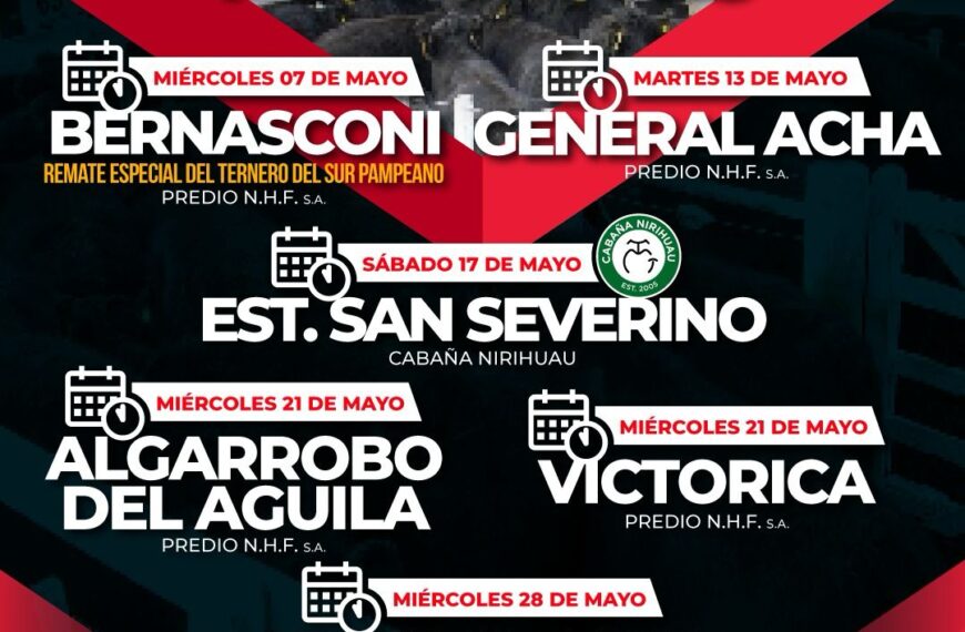 Néstor Hugo Fuentes S.A. | General Acha | Próximo Remate Feria el martes 13 de mayo de 2025