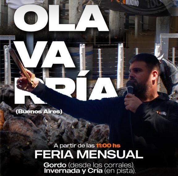 Alfredo S. Mondino | Olavarría | Próximo Remate Feria el miércoles 28 de mayo de 2025