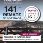 Brandemann Consignataria S.R.L. | Eduardo Castex | Próximo Remate Feria el viernes 16 de mayo de 2025