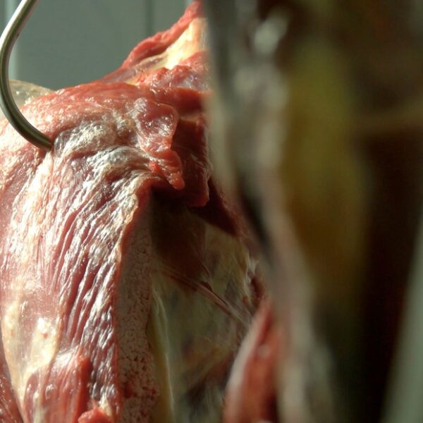 El acuerdo con EE.UU. abre una oportunidad clave para potenciar las exportaciones argentinas de carne