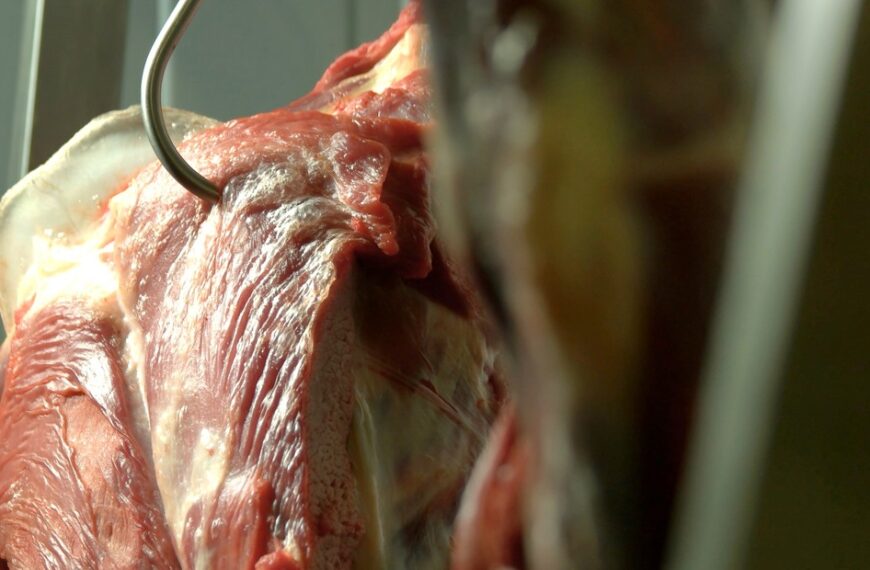 China concentró el 69% de las exportaciones de carne: en cuatro meses ingresaron casi US$ 1.000 millones
