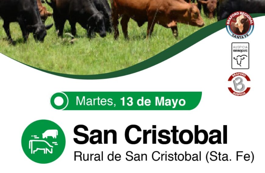 Colombo y Magliano S.A. | San Cristobal, Santa Fe | Próximo Remate Feria el Martes 13 de mayo de 2025