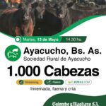 Colombo y Magliano S.A. | Ayacucho, Buenos Aires | Próximo Remate Feria el Martes 13 de mayo de 2025