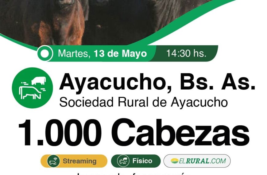 Colombo y Magliano S.A. | Ayacucho, Buenos Aires | Próximo Remate Feria el Martes 13 de mayo de 2025