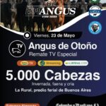 Colombo y Magliano S.A. | Sociedad Rural Argentina, Buenos Aires | Próximo Remate Feria el Viernes 23 de mayo de 2025