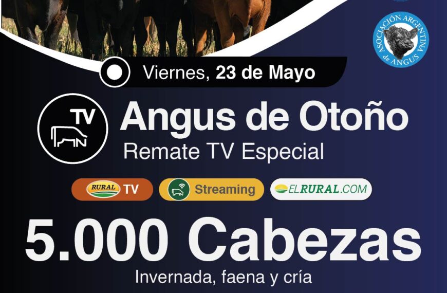 Colombo y Magliano S.A. | Sociedad Rural Argentina, Buenos Aires | Próximo Remate Feria el Viernes 23 de mayo de 2025