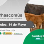 Colombo y Magliano S.A. | Chascomús | Próximo Remate Feria el Miércoles 28 de mayo de 2025