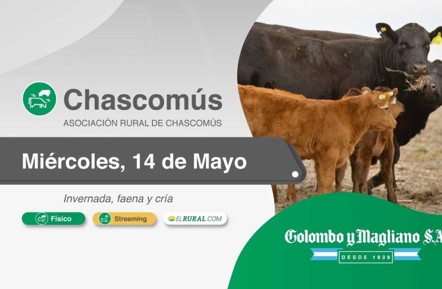 Colombo y Magliano S.A. | Chascomús | Próximo Remate Feria el Miércoles 28 de mayo de 2025