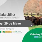Colombo y Magliano S.A. | Saladillo, Buenos Aires | Próximo Remate Feria el jueves 29 de mayo de 2025