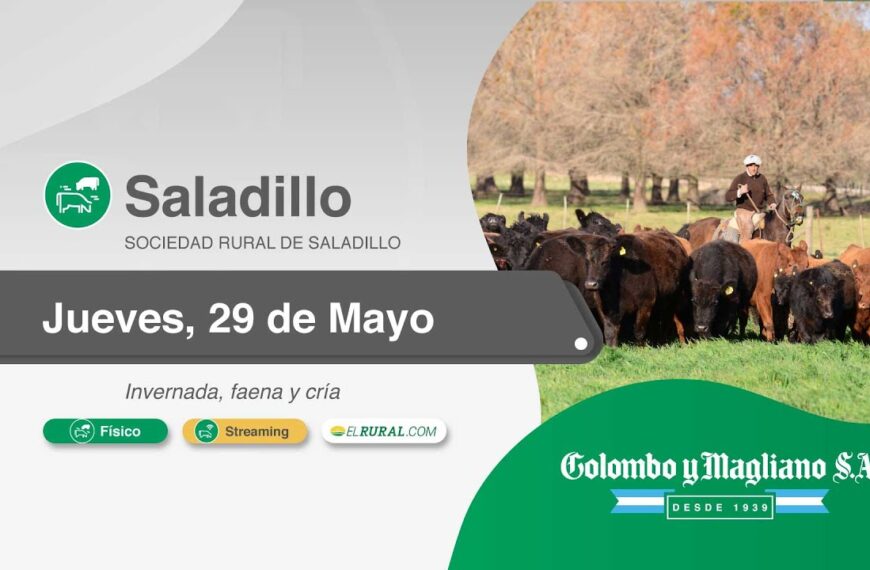 Colombo y Magliano S.A. | Saladillo, Buenos Aires | Próximo Remate Feria el jueves 29 de mayo de 2025