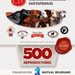 Coop. Ganadera Ltda. «Manuel Gregoret» | Colonia Silva, Santa Fe | Próximo Remate Feria el viernes 4 de julio de 2025