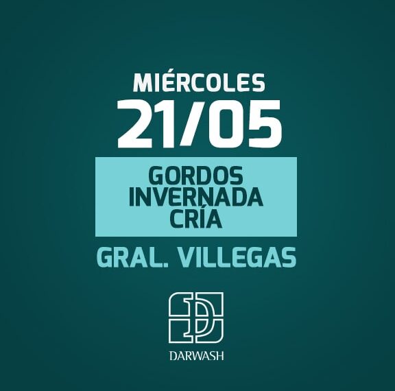 DarWash Consignataria de Hacienda | General Villegas | Próximo Remate Feria el miércoles 21 de mayo de 2025