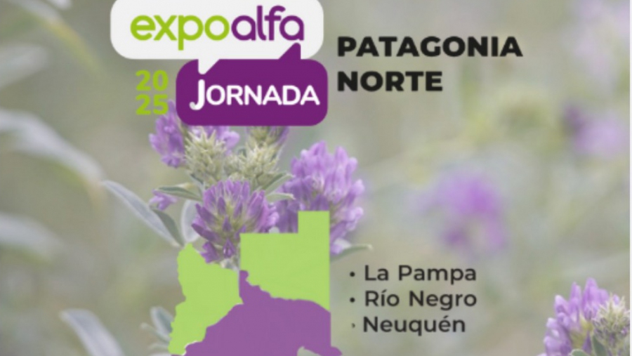 Productores forrajeros se reúnen en la “Expo Alfa Patagonia Norte” para potenciar la calidad y exportación de alfalfa