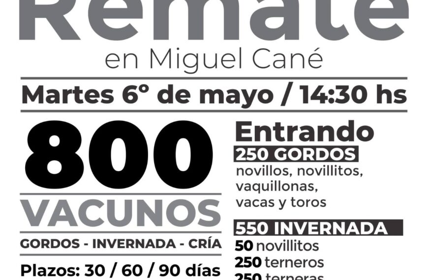 Grupo Quemú | Miguel Cané | Próximo Remate Feria el martes 6 de mayo de 2025