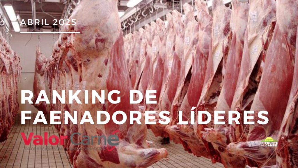 Los líderes del mercado ganadero aumentaron su faena en abril y consolidan su posición