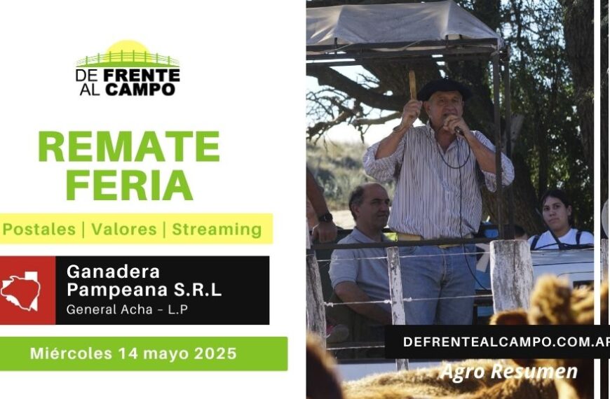 Remate Feria de Ganadera Pampeana S.R.L. | General Acha | 14/05/2025