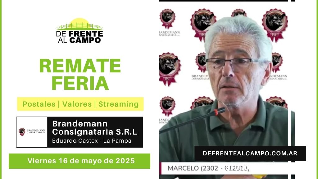 Remate Feria de Brandemann Consignataria | Eduardo Castex | Viernes 16/05/2025