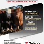 Talano Hermanos | Alejandro Roca | Próximo Remate Feria el Martes 13 de mayo de 2025