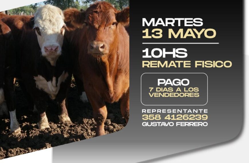 Talano Hermanos | Alejandro Roca | Próximo Remate Feria el Martes 13 de mayo de 2025