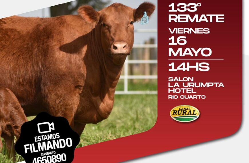 Talano Hnos. | Río Cuarto | Próximo Remate Feria el viernes 16 de mayo de 2025