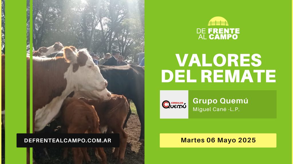 Valores del remate de Grupo Quemú | Miguel Cané | Martes 06/05/2025