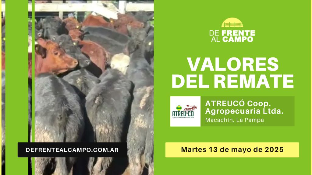 Valores del remate de ATREU-CO | Macachín, La Pampa | Martes 13/05/2025