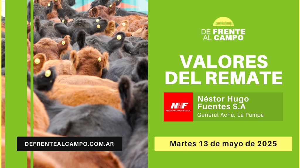 Valores del remate de Néstor Hugo Fuentes S.A. | General Acha | Martes 13/05/2025