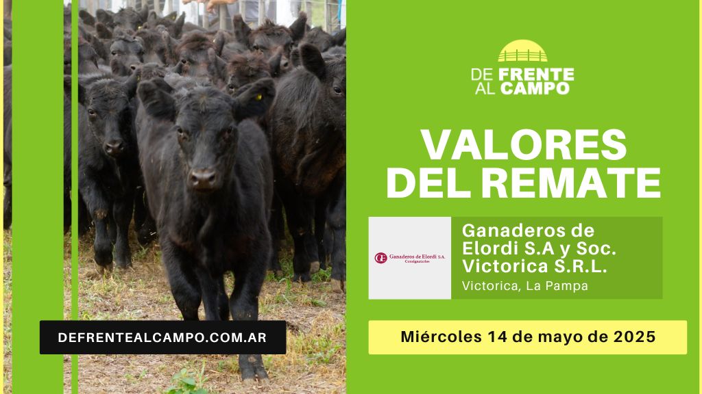 Valores del remate de Ganaderos de Elordi S.A. y Sociedad Victorica S.R.L. | Victorica, La Pampa | Miércoles 14/05/2025