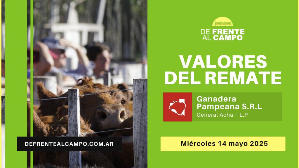 Valores del remate de Ganadera Pampeana S.R.L. | General Acha | 14/05/2025